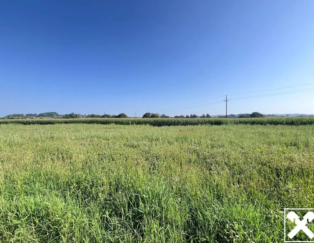Ebener Baugrund in sonniger Ortsrandlage