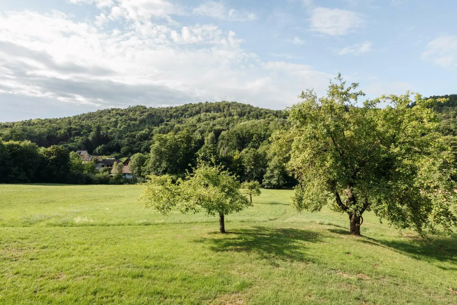 8054 Strassgang - Idyllische Liegenschaft zum Bauen, Pflanzen, Leben mit ca. 5000 m² und Altbestand in ruhiger Sackgassenlage