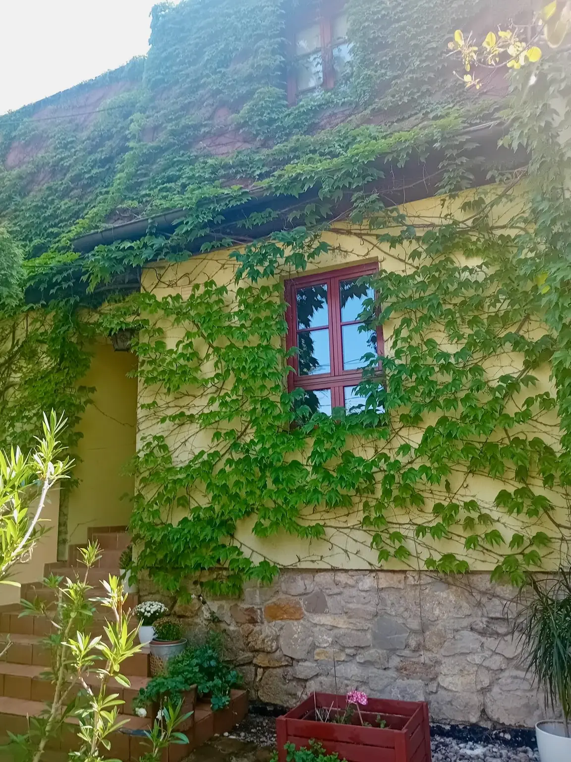 Natur pur , tolles Haus