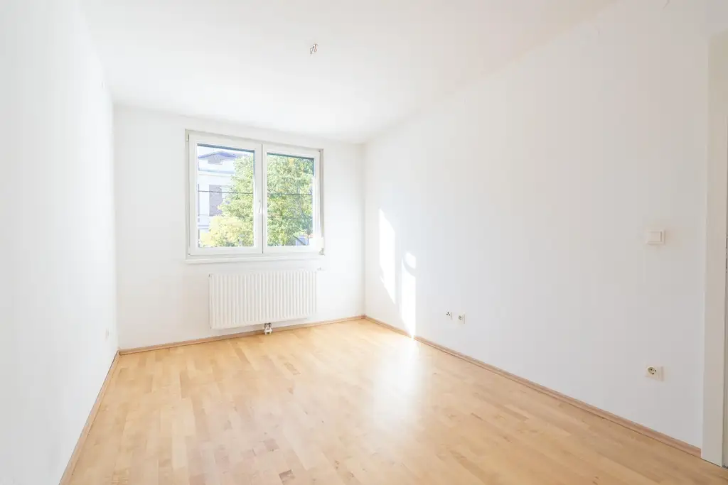 "Where the Alte Donau Becomes Home"