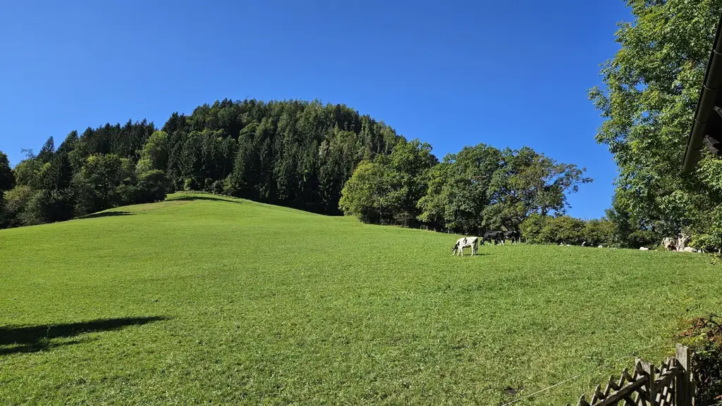 Haus in einzigartiger Alleinlage mit toller Aussicht!