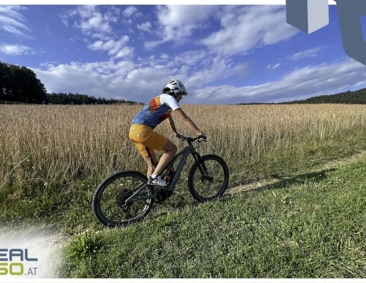 Idyllisches Hanggrundstück mit grandioser Aussicht, 13min von Linz entfernt!