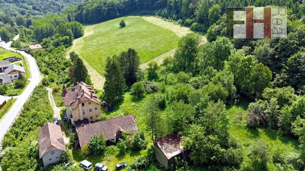 Herrschaftliches, historisches Anwesen, 94.000m² Grund, WNFL 720m², absolute Ruhelage in Pressbaum!