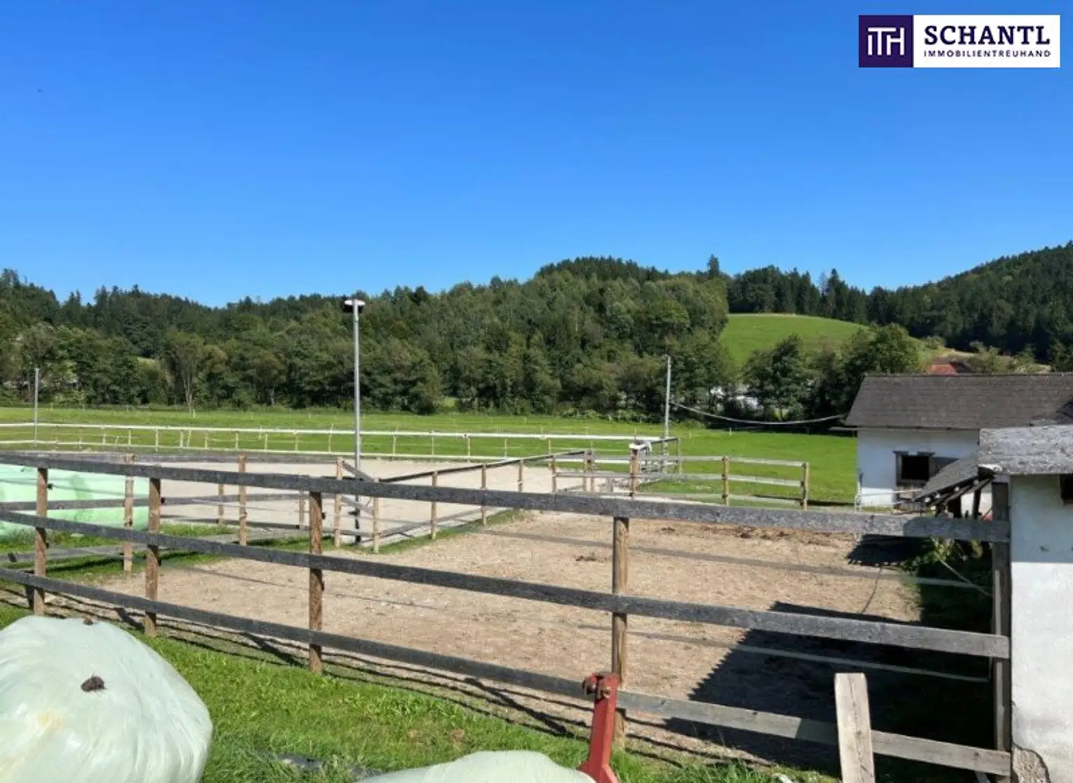 PFERDERANCH IN DER GRÜNEN STEIERMARK! Idyllischer Reiterhof in der Steiermark – Natur, Ruhe & Freiheit genießen! GLEICH ANFRAGEN UND BESICHTIGUNGSTERMIN VEREINBAREN!