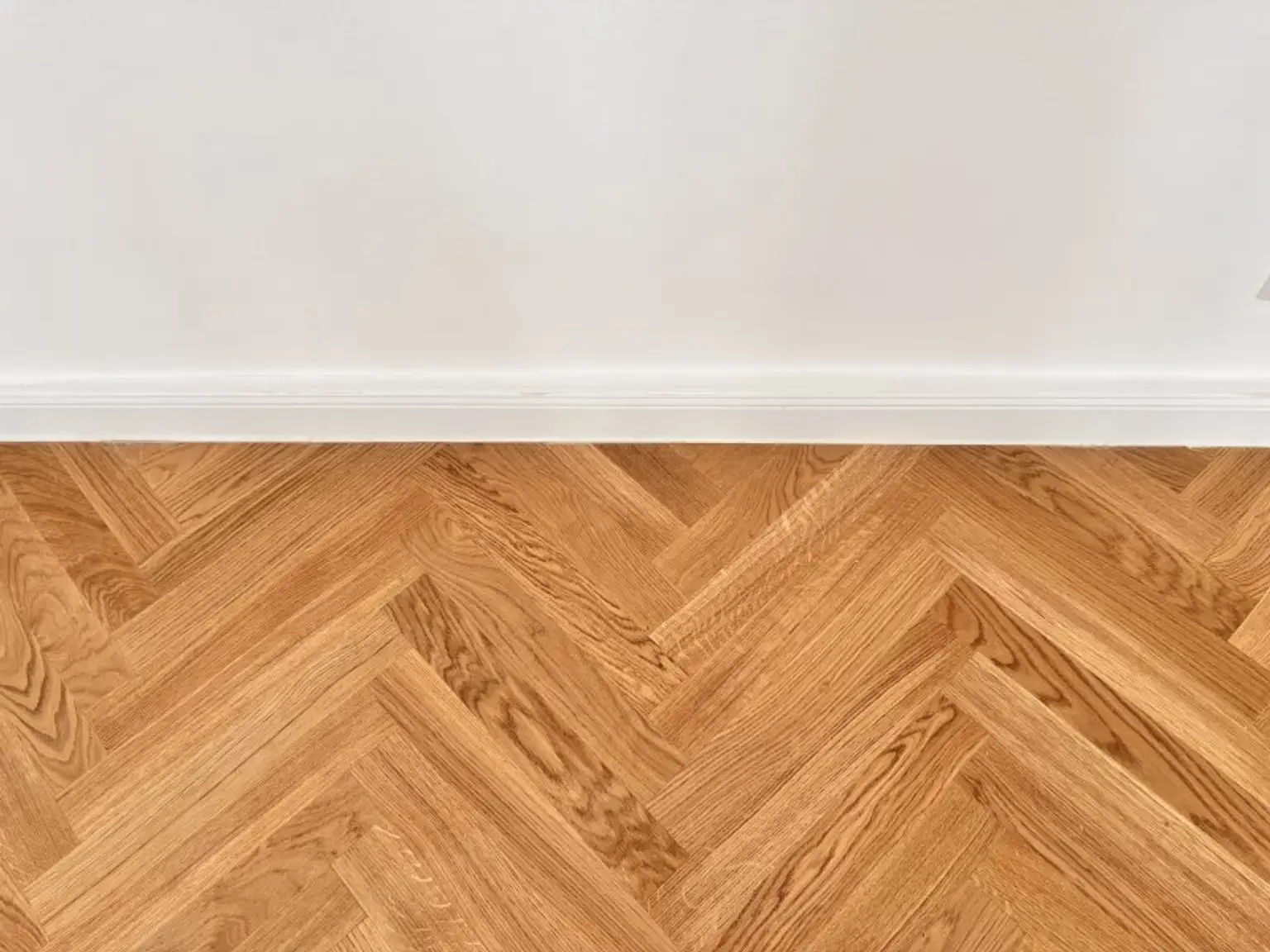 Perfekt aufgeteilte Stadtwohnung – 1 Zimmer, Erstbezug nahe Pilgramgasse