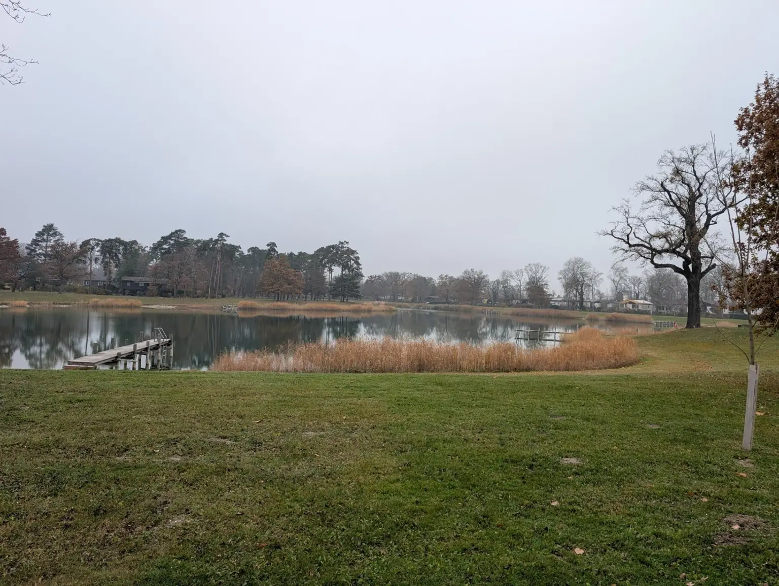 PXL_20251112_134938812.RAW-01.COVER