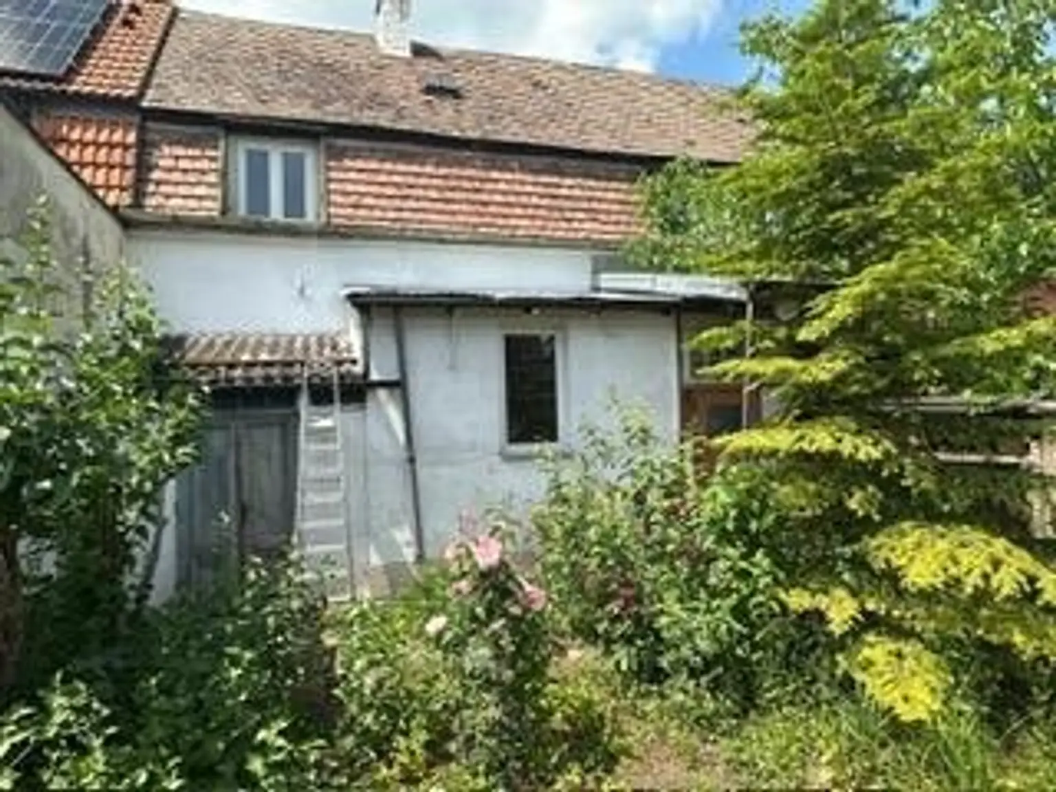10 Garten