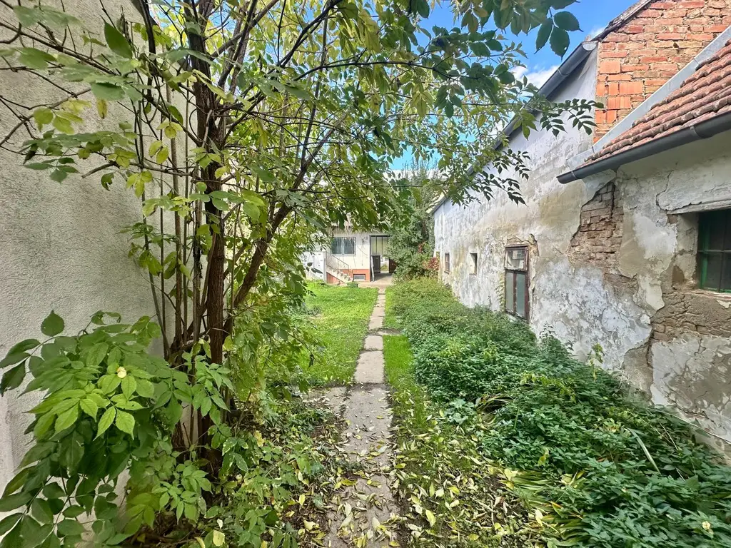 Reiterparadies im Weinviertel – Ihr Traum vom Landleben!