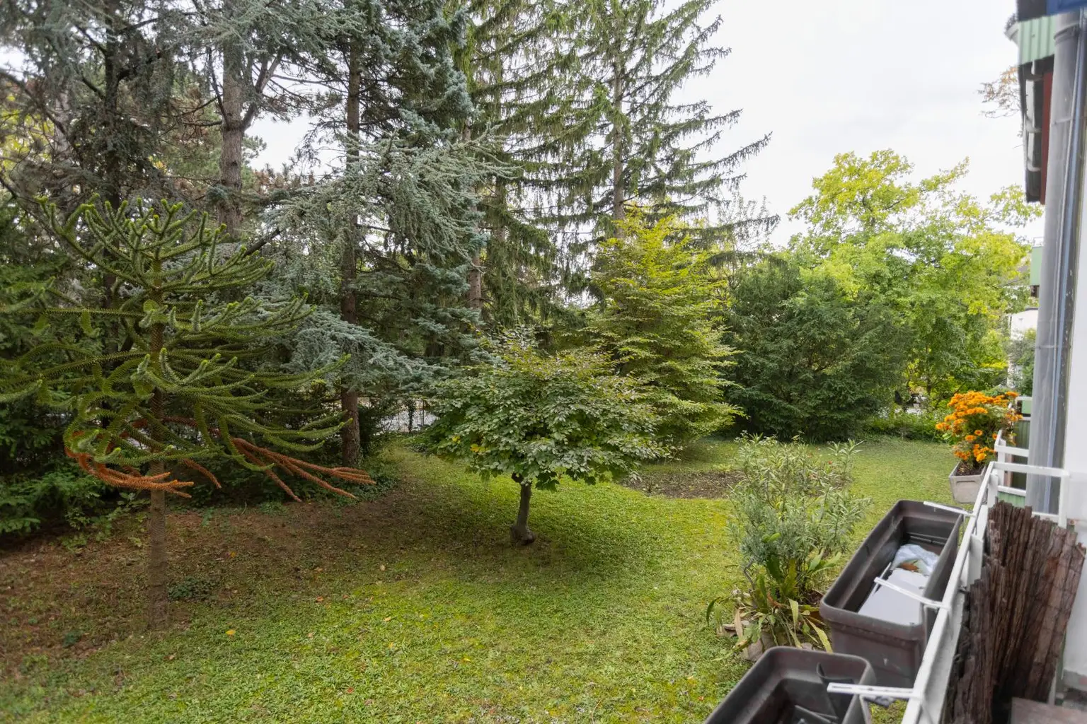 Zentral begehbare 3-Zimmer-Whg. direkt beim Türkenschanzpark