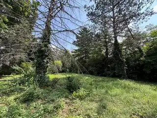 08