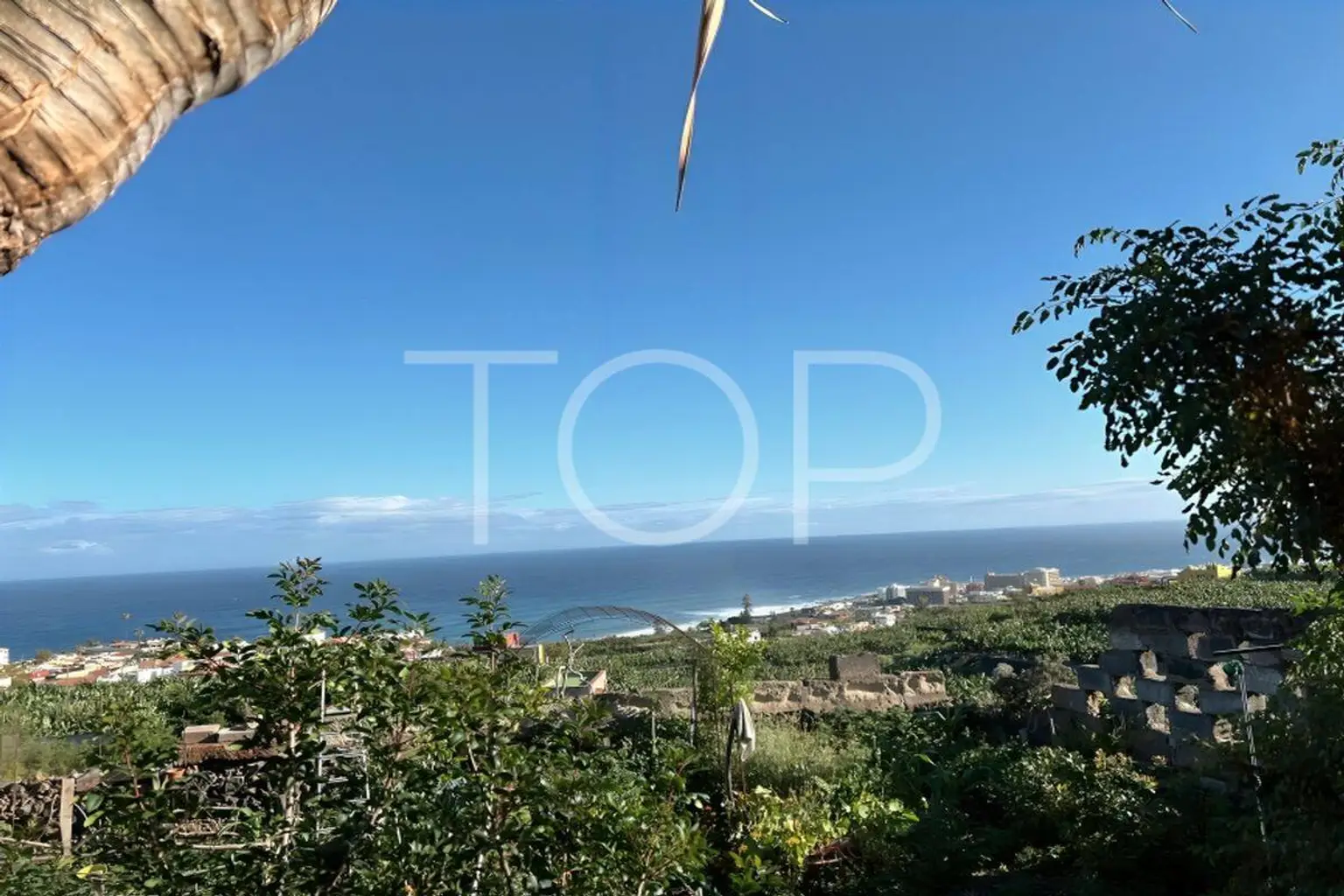 Natural charm close to the city! Detached house with a large plot in Puerto de la Cruz