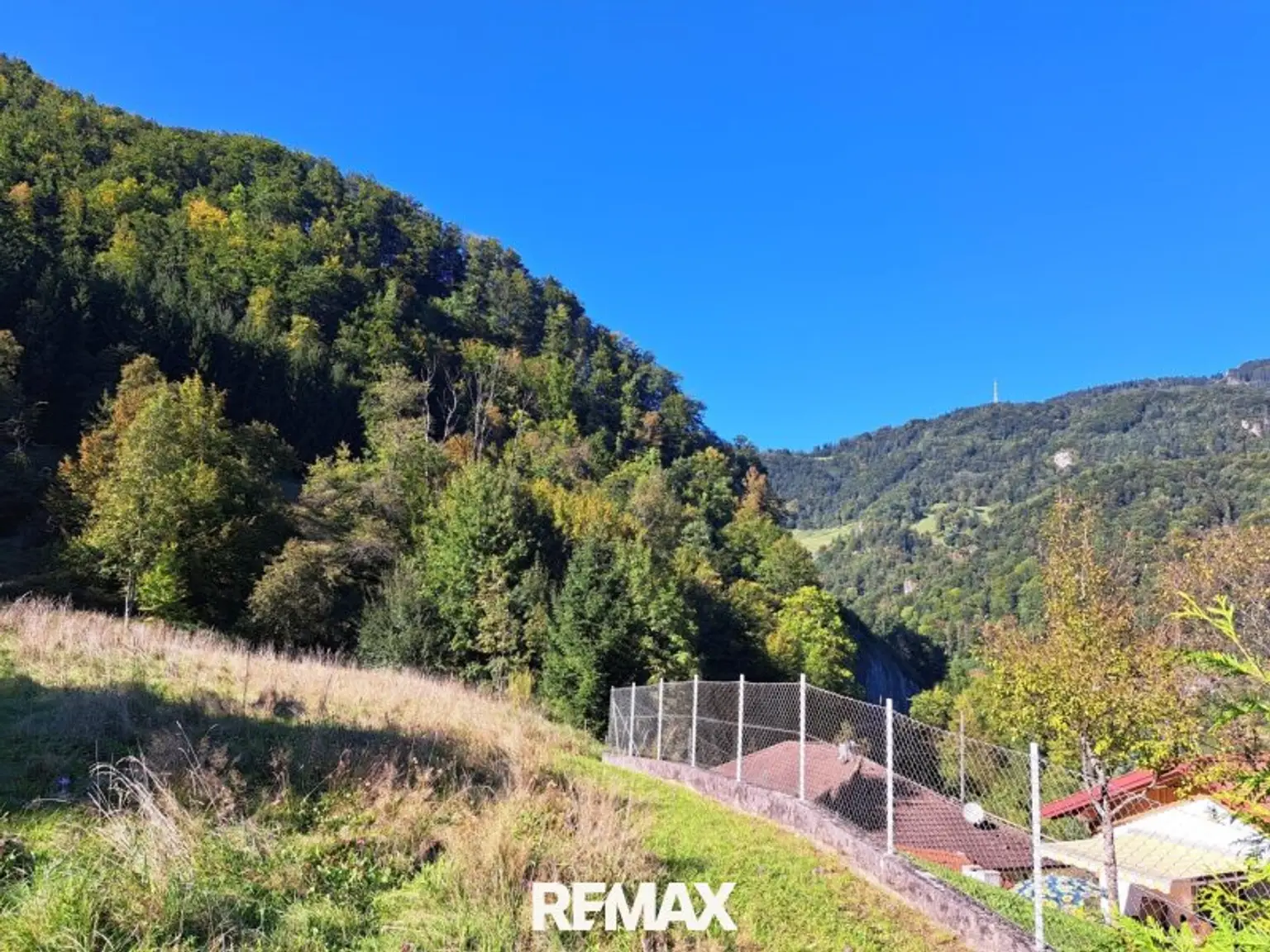 Blick  nach Norden - östliche Grundstücksgrenze