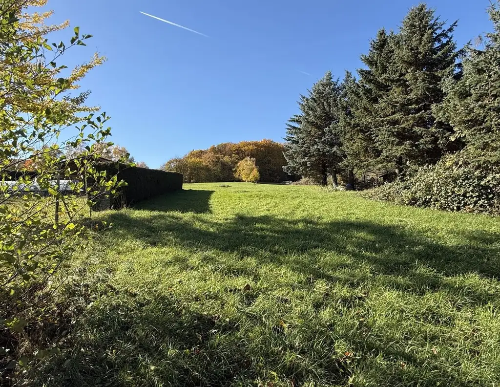 Wo der Morgen nach Wald duftet!