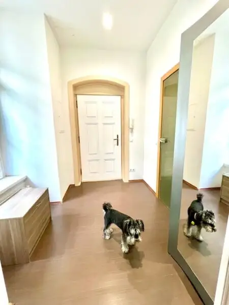 WOHNEN im 7-ten HIMMEL - INNENSTÄDTISCHE EIGENTUMSWOHNUNG- ELEGANTE Klassische Wiener-Altbau-Wohnung mit 2-Zimmern in Top Lage am SPITTELBERG - DURCHHAUS!