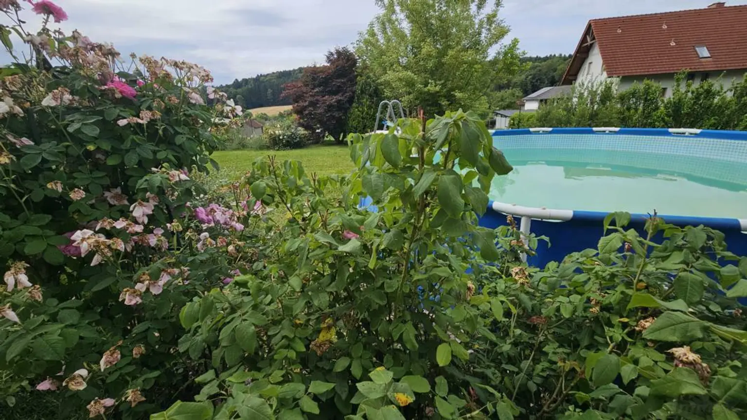 ** Traumhaftes Wohlfühlhaus in ländlicher Idylle trifft Stadtnähe  - nur 15km nach Graz **  Familienparadies mit erstklassiger Infrastruktur **