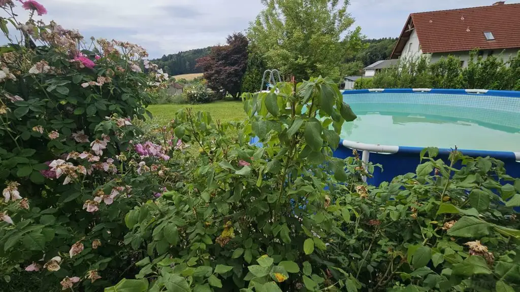 ** Traumhaftes Wohlfühlhaus in ländlicher Idylle trifft Stadtnähe  - nur 15km nach Graz **  Familienparadies mit erstklassiger Infrastruktur **