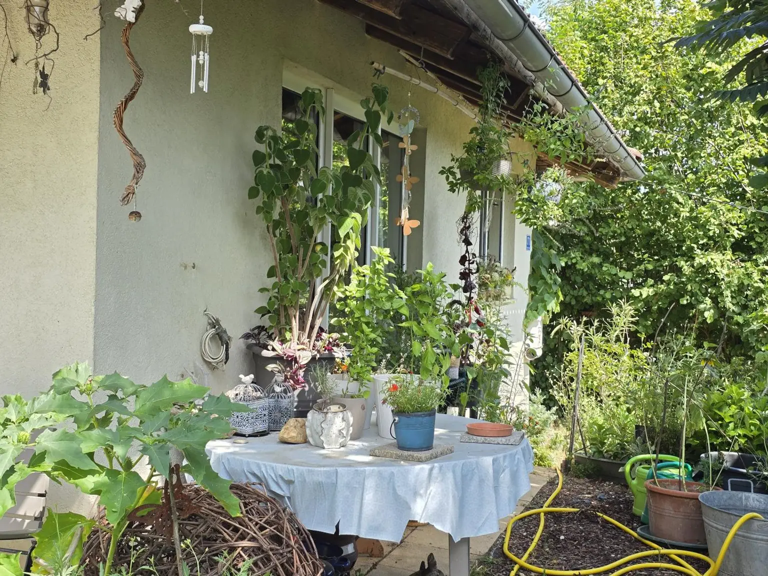Haus mit Garten