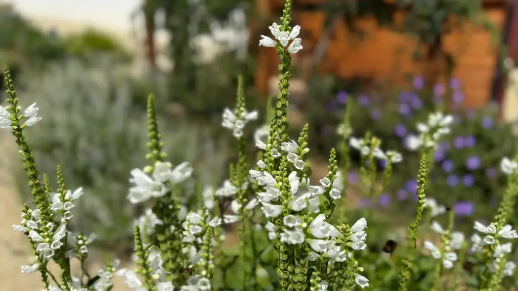 Neuwertiger Bungalow mit einzigartiger Steingartengestaltung und Naturteich