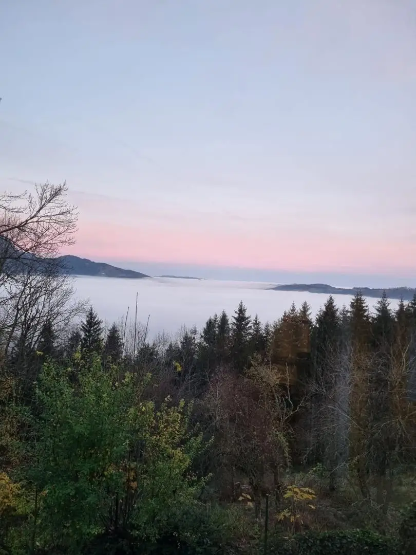 beinahe nie im Nebel