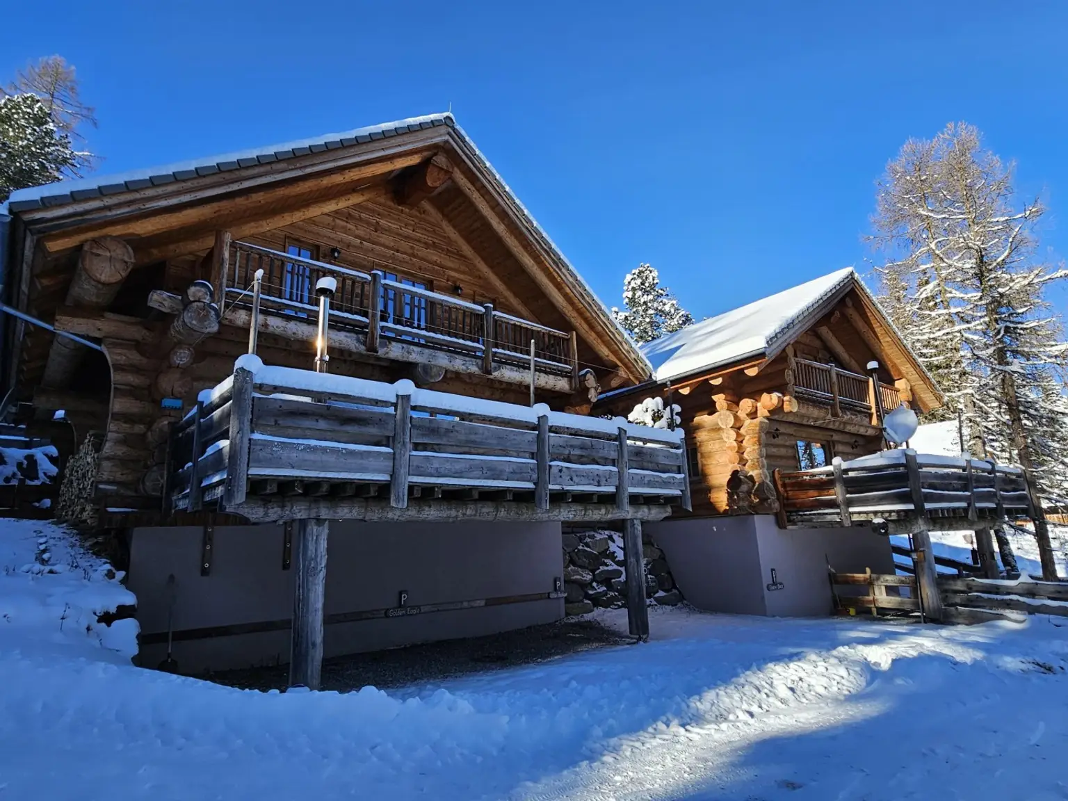 Golden Eagle & Sleepy Bear