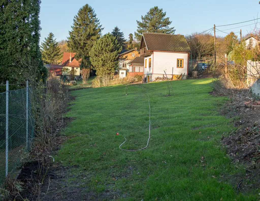 Kleingartengrundstück mit außergewöhnlicher Größe