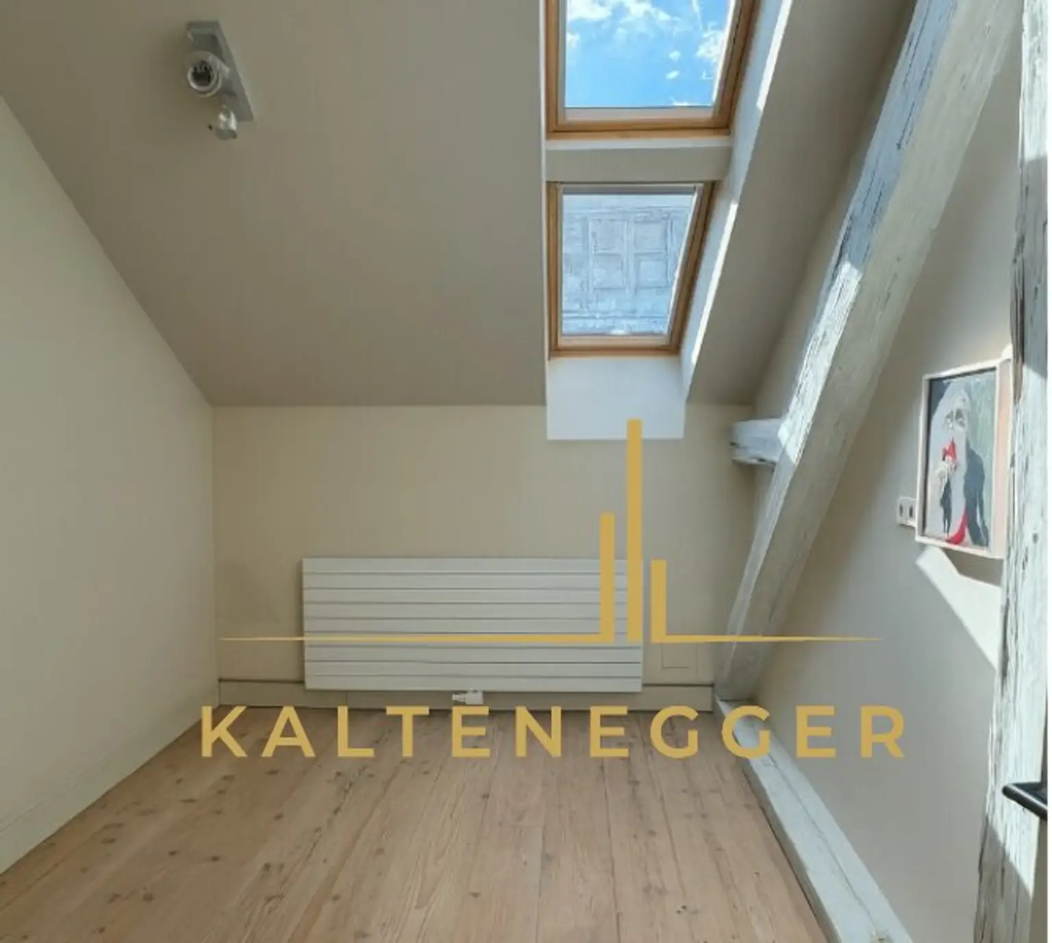 Exklusive Dachterrassenwohnung beim Museumsquartier