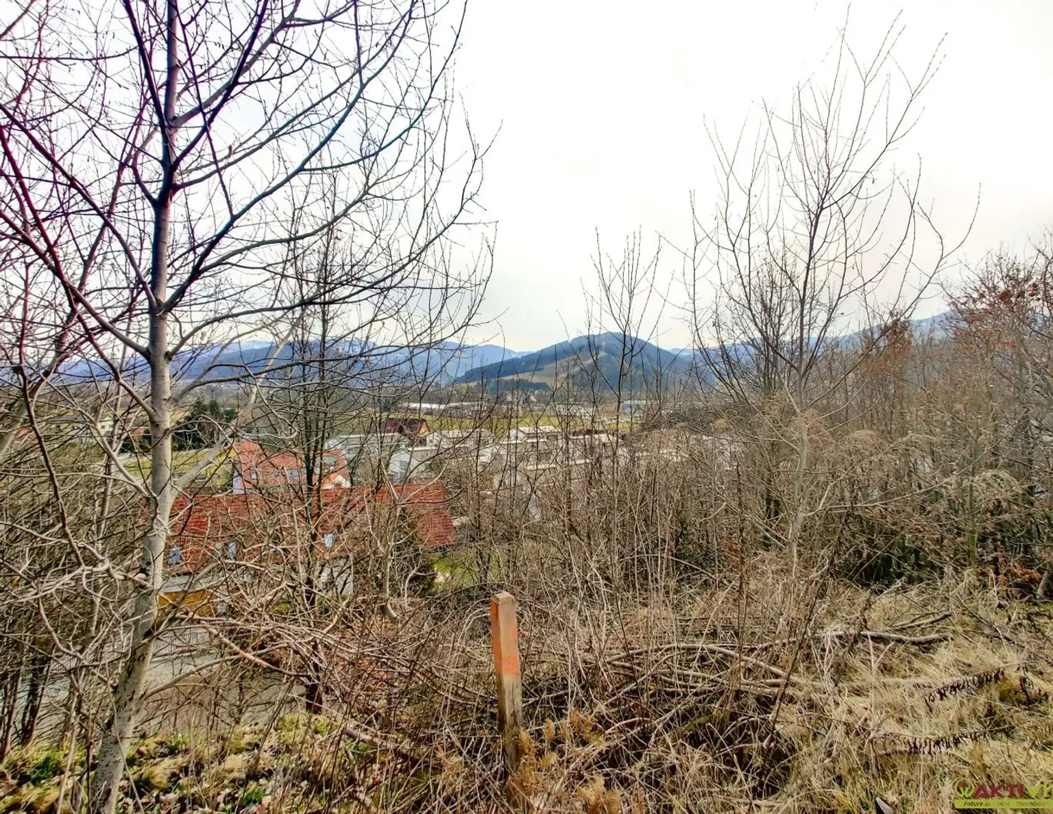 Großzügiges Baugrundstück mit Potenzial. - Verkauf auch in Teilflächen möglich und bis zu 1.450 m² Bruttogeschoßfläche realisierbar.