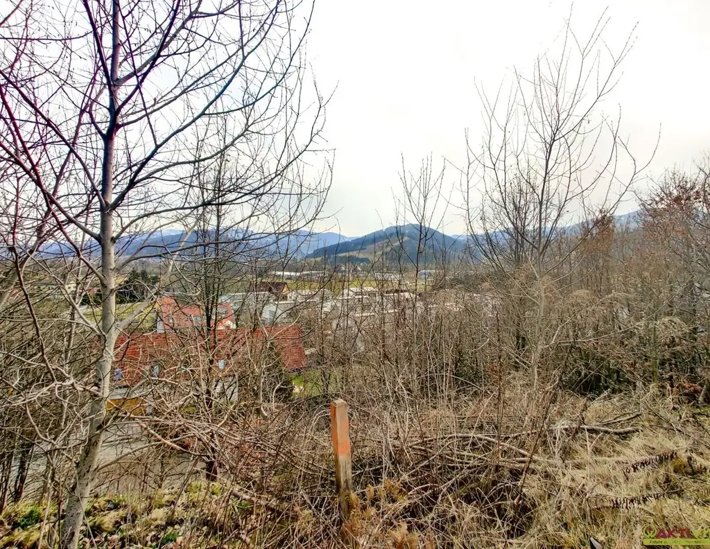 Großzügiges Baugrundstück mit Potenzial. - Verkauf auch in Teilflächen möglich und bis zu 1.450 m² Bruttogeschoßfläche realisierbar.