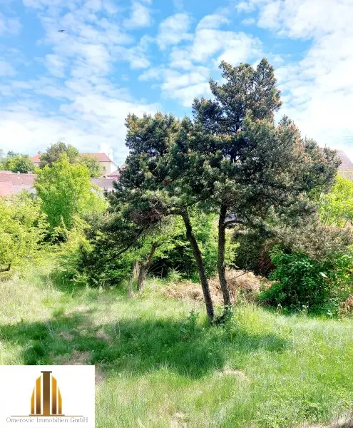 Einfamilienhaus mit ehemaligem Lokal, Stadel und Garten in Weitersfeld im Bezirk Horn!