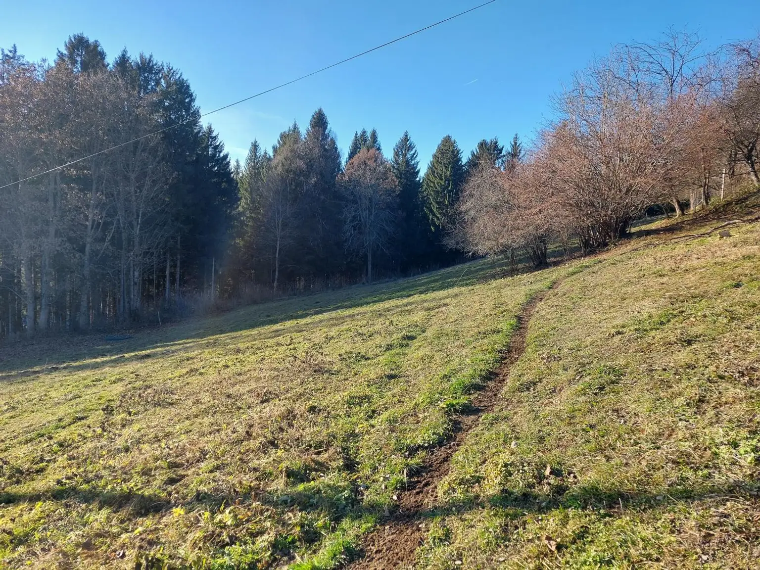 Blick nach Nordwest über das Bauland