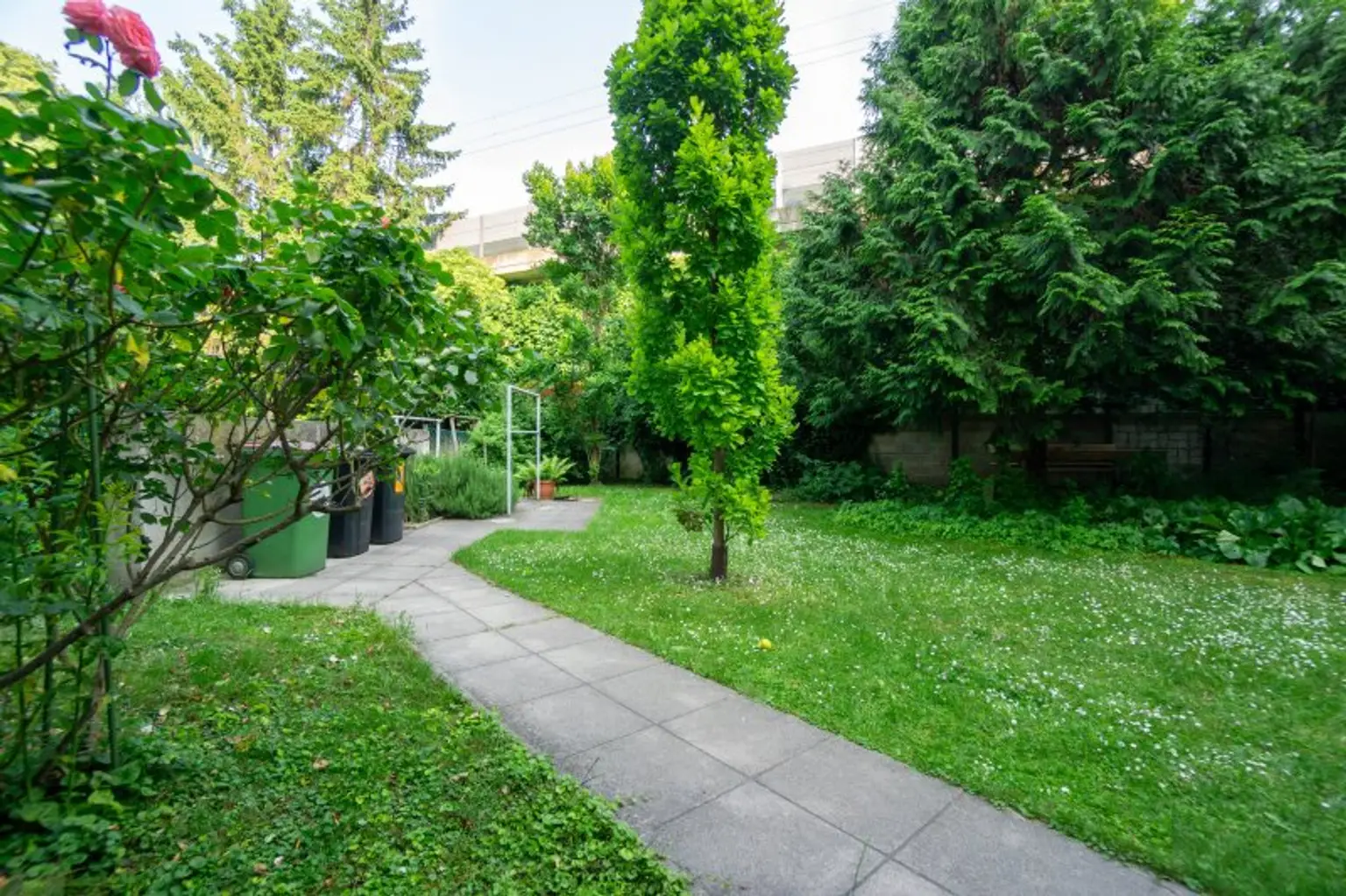 Freiheit spüren, durchatmen, wohlfühlen - Kahlenbergblick in Floridsdorf