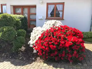 Vorgarten
