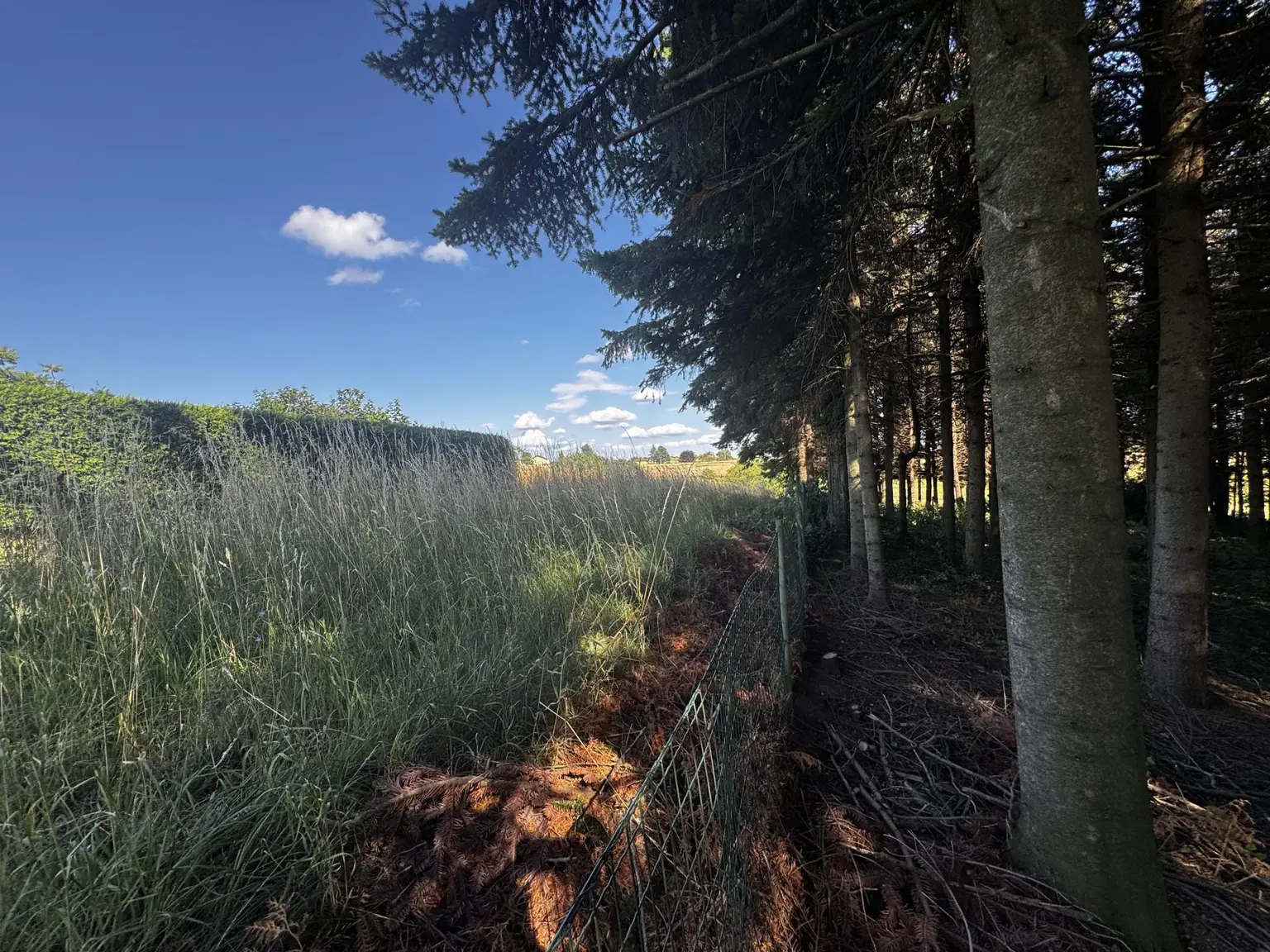 Einzigartige Liegenschaft mit Wald und Panorama