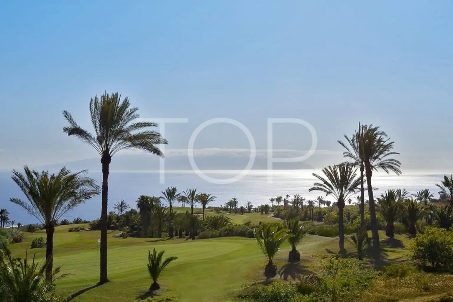 _mg_4784ed_48290113411_o