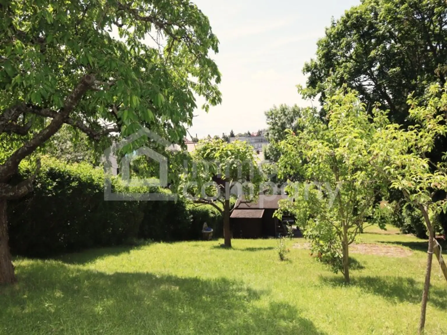 ES GIBT FÜR ALLES EINEN GRUND - wir haben gleich 3 davon…