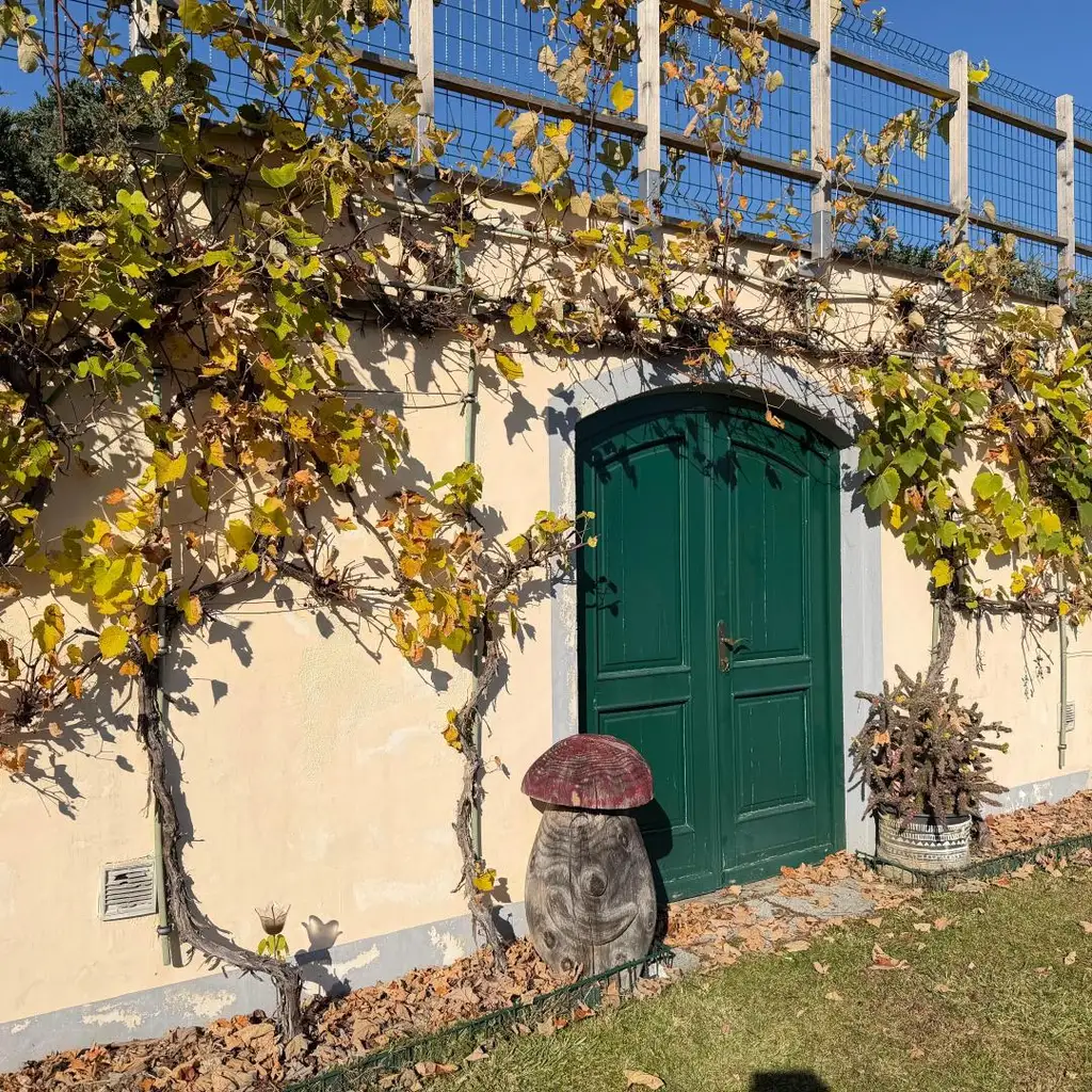 Wohnen in Aussichtslage mitten in der Natur auf  8 Ha. Grund, ehemalige Hofstelle!