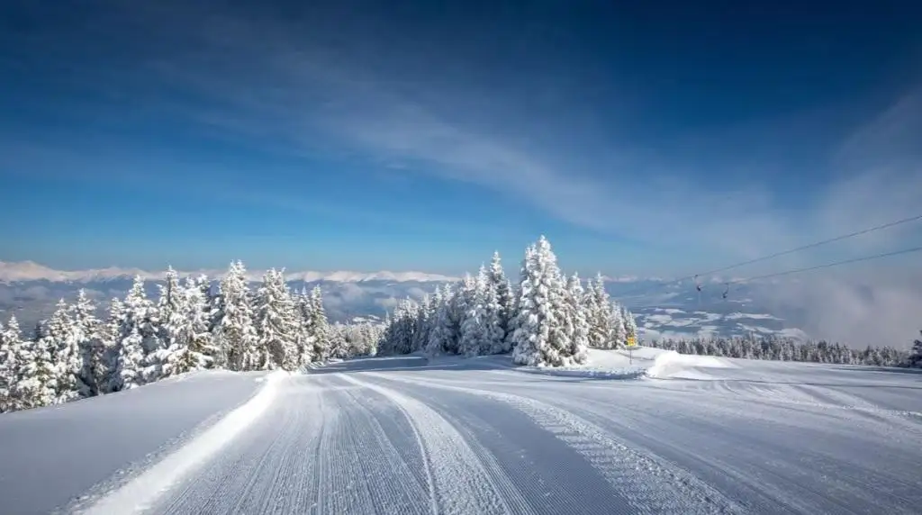 Mountain Resort - Ferienhaus im Naturpark Zirbitzkogel-Grebenzen