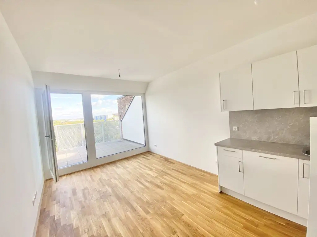 U3  ERSTBEZUG Top Anlage Dachwohnung 2 Zimmer + Terrasse =DAS LAURENZ= 1 bedroom apartment+terrace