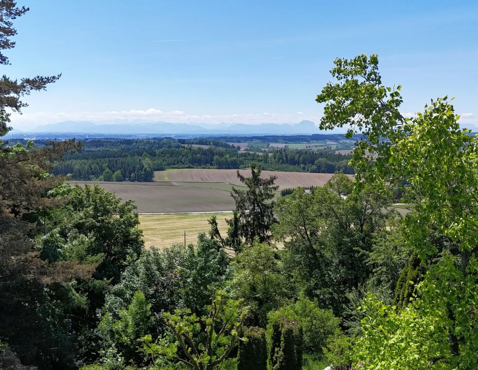 Traumhaftes Baugrundstück in Buchkirchen mit sensationellem Fern- u. Bergblick
