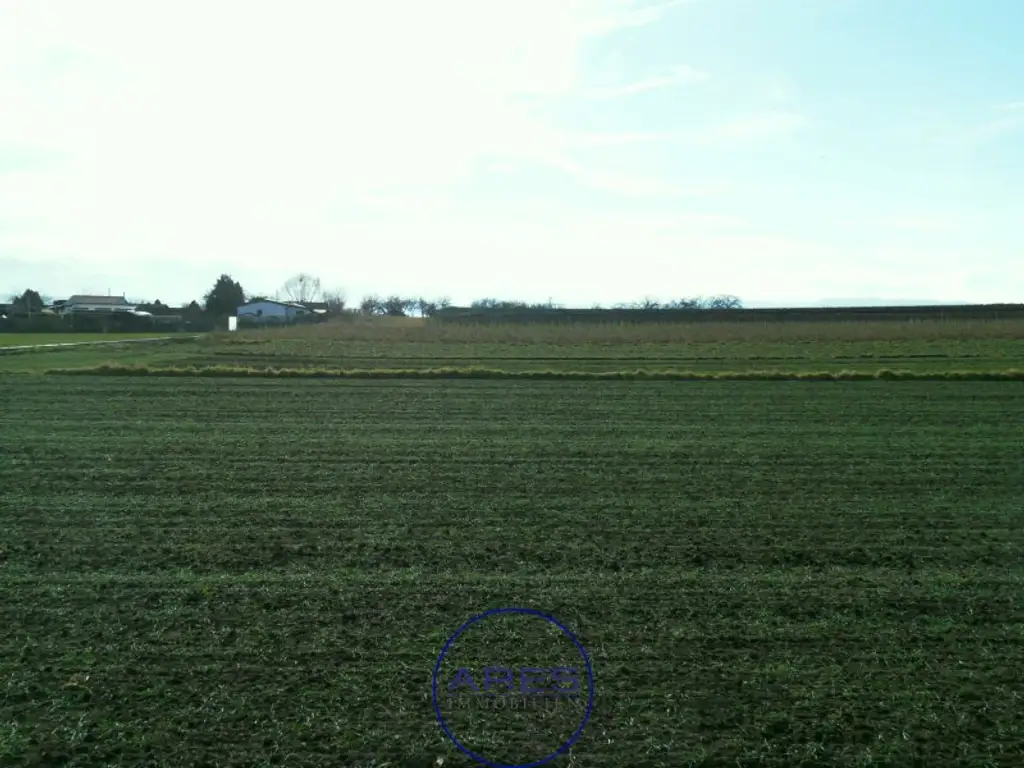 Baugrund mit Fernsicht in bester Lage in Gneixendorf