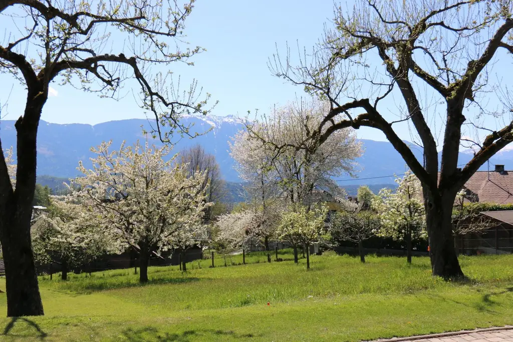 Idyllisches Baugrundstück in Obermillstatt – Wohnen, wo andere Urlaub machen