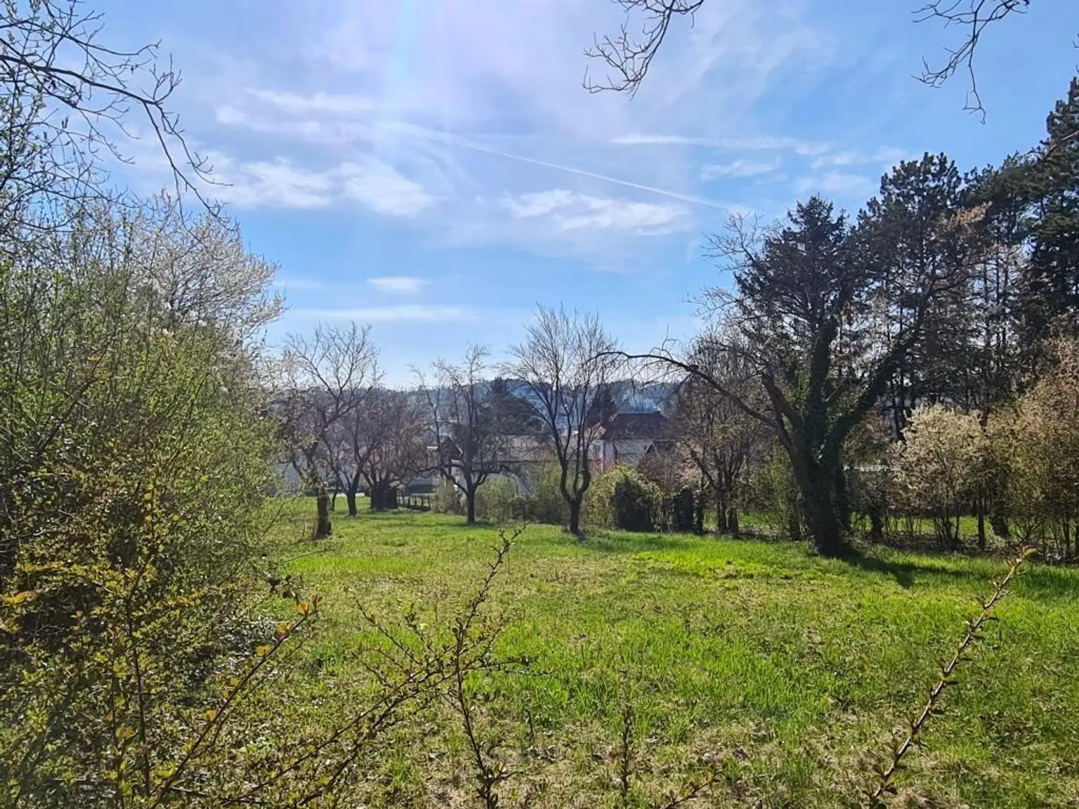 Oberer Gartenbereich