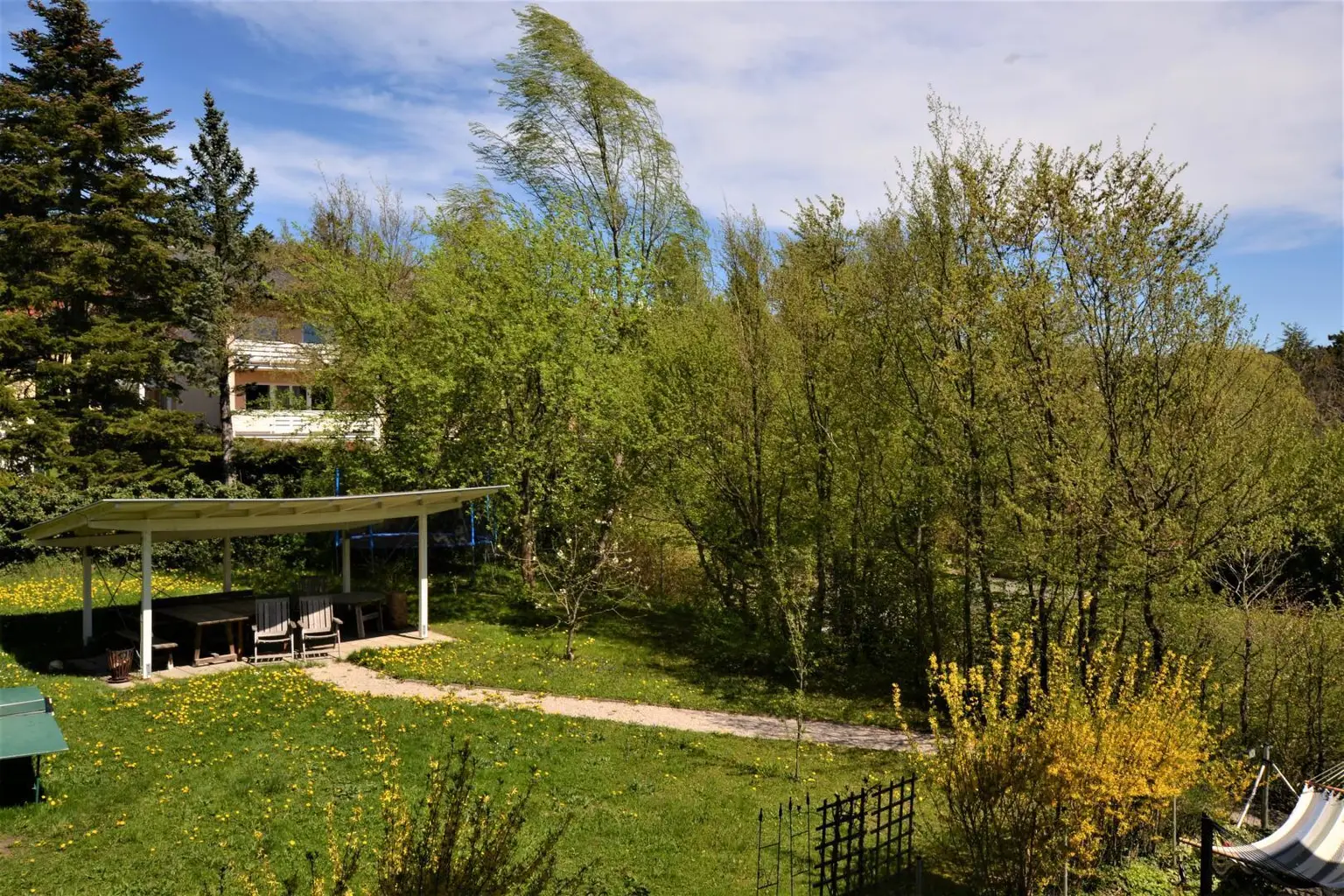 Ausblick Gartenseitig