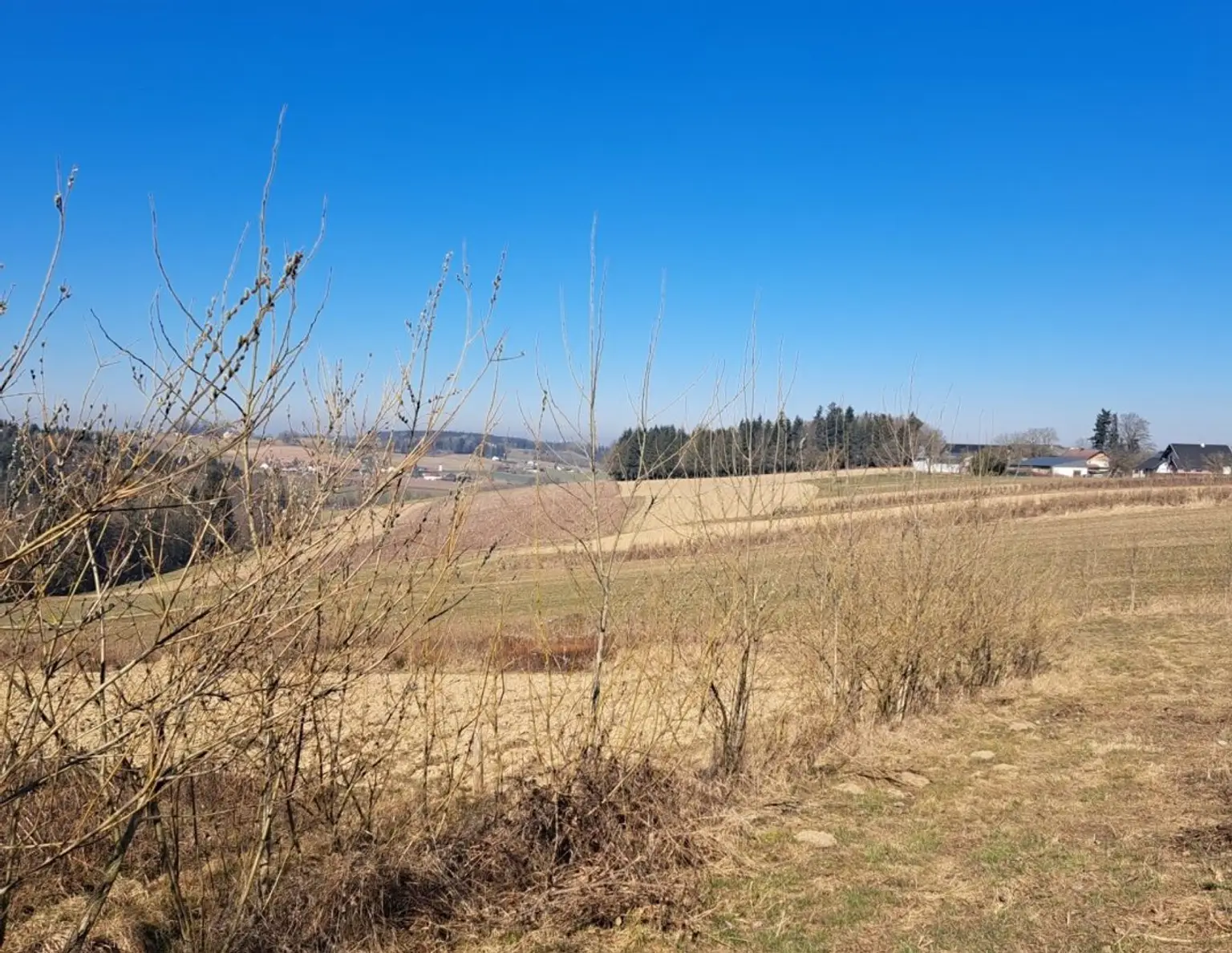Exklusives Weinbaugrundstück, Südhang in sonniger Lage!