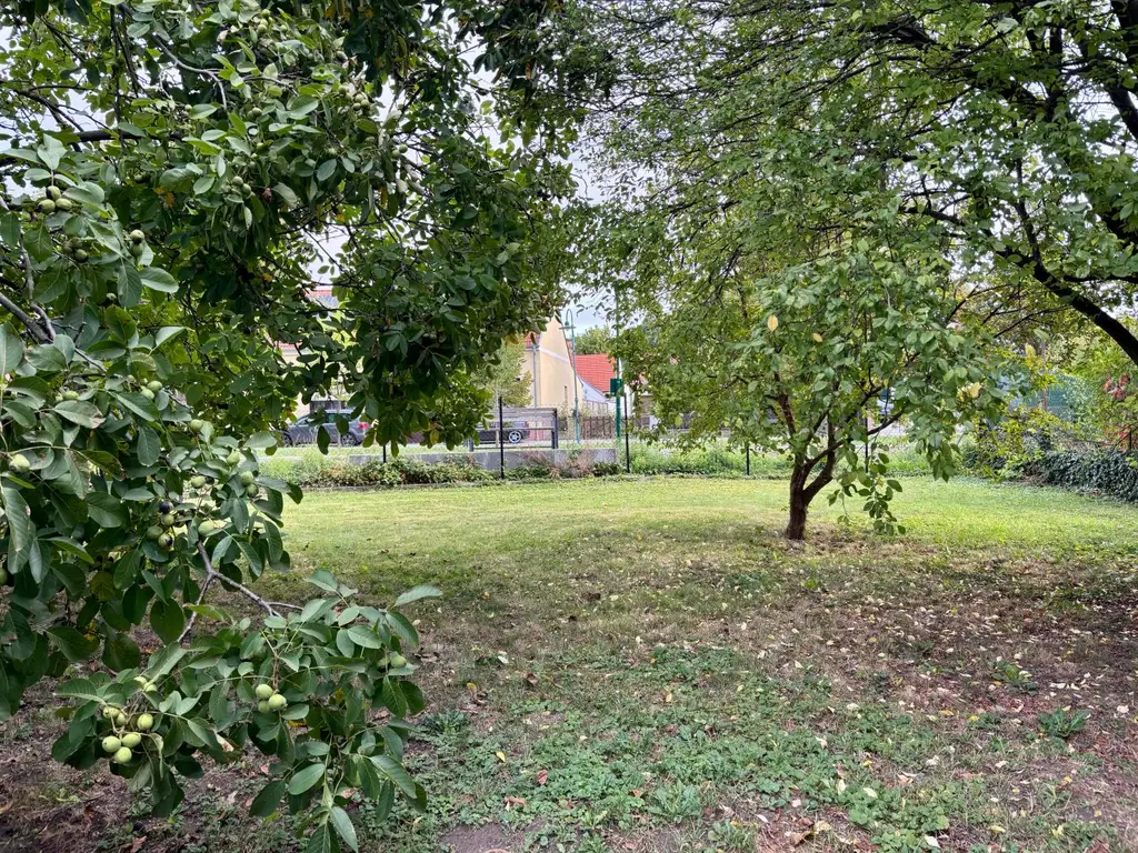 Schönes Grundstück mit Haus im Kurort Bad Pirawarth!