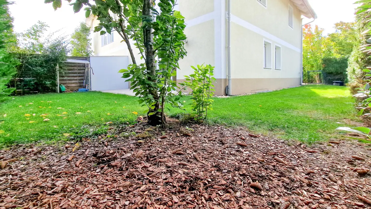 Niedrigenergie-Doppelhaushälfte in Mauer. 5 Zimmer, Terrasse, Garten und Autostellplatz