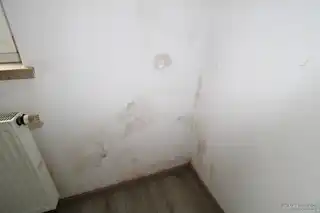 Wand Küche EG