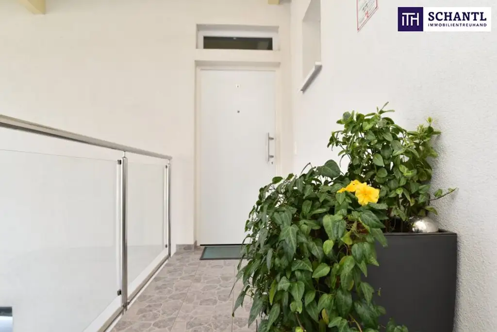 Traumhafte, lichtdurchflutete 3-Zimmer-Wohnung mit gigantischer Terrasse und Blick ins Grüne!
