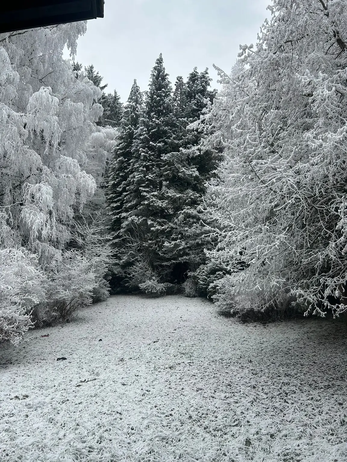 300 Meter von der MITTELSTATION STUHLECK entfernt
