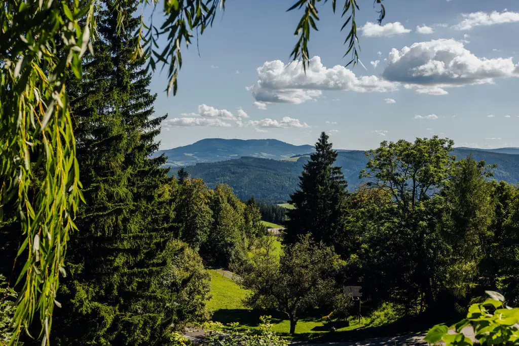 8252 Skiregion Joglland: Großzügiges Landhaus am Hochwechsel - Freiheit, Natur & Raum für neue Lebensideen